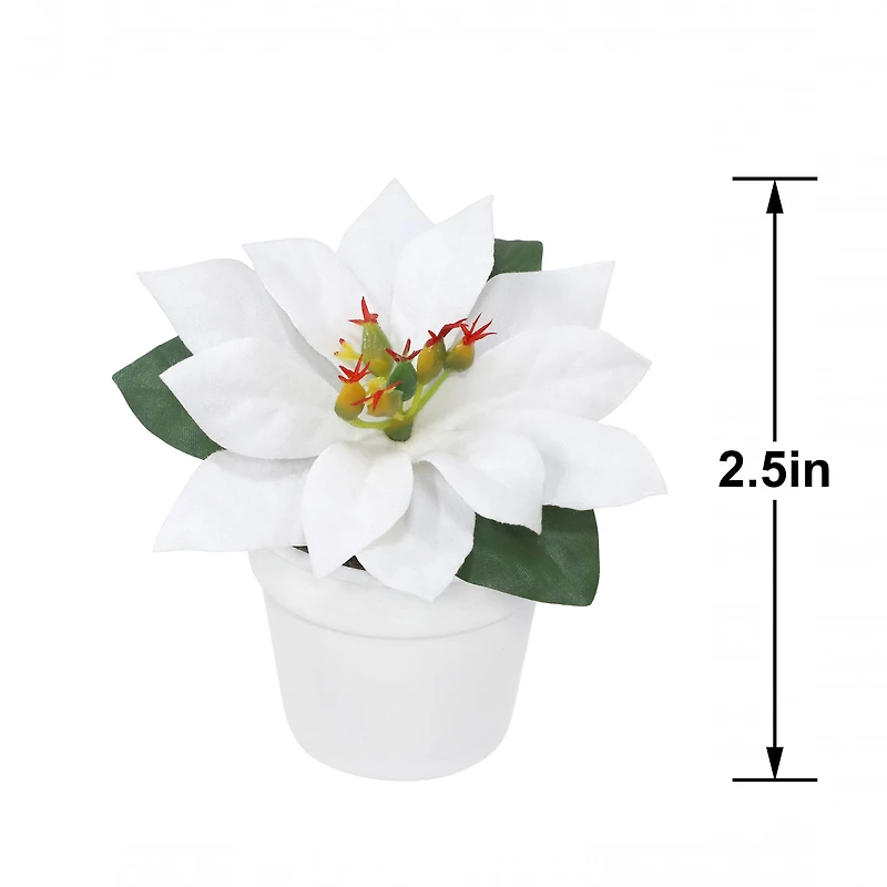 2.5" Premade White Velvet Poinsettia in White Terracotta Pot by Ashland®