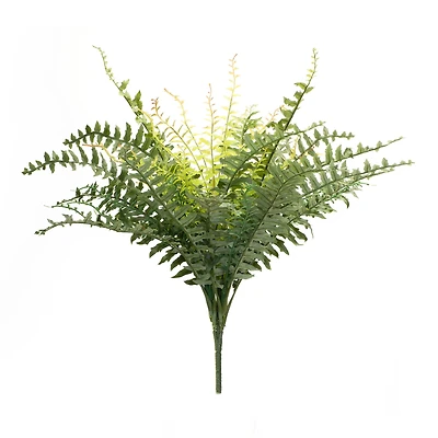 22.5" Mixed Fern Foliage Bushes, 2ct.