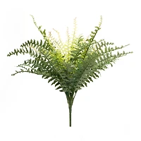 22.5" Mixed Fern Foliage Bushes, 2ct.