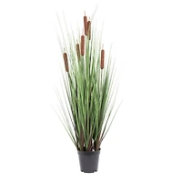 Potted Green Straight Grass & Cattails