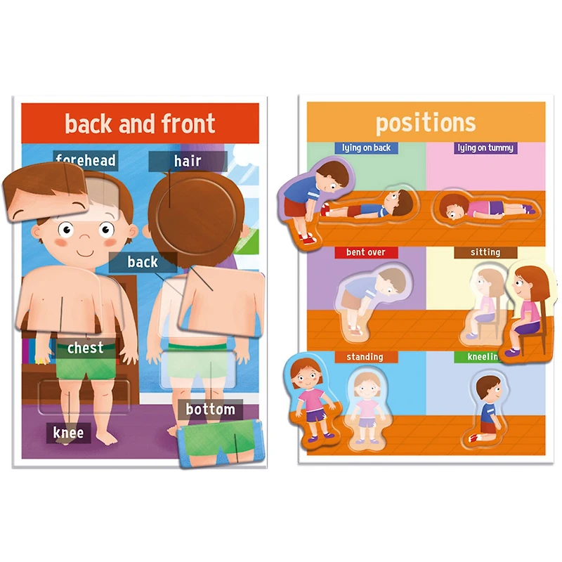 Headu How We Are Made My First Human Body Game