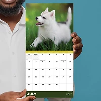 TF Publishing 2025 Puppies Mini Calendar