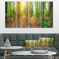 Designart - Dense Forest Panorama