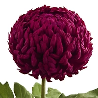 Mum Artificial Flower Stem, 2ct.