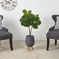 3.5ft. Fiddle Leaf Fig Tree in Gray Planter with Stand