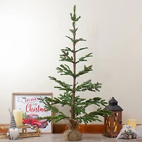 4ft. Unlit Ponderosa Pine Artificial Christmas Tree in Jute Base