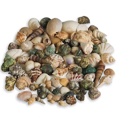 Pepperell 2.5lb. Natural Sea Shell Assortment