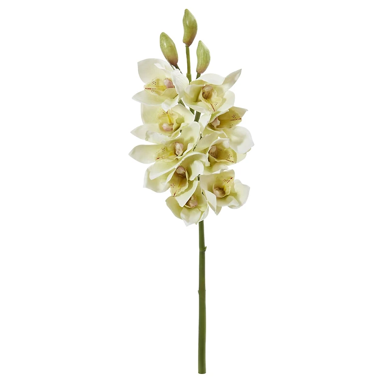 Boat Orchid Flower Spray, 4ct.