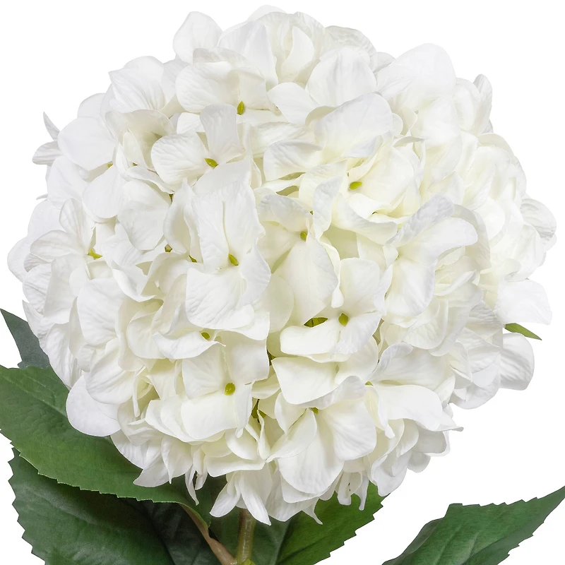 41" Hydrangea Oversized Stem by Ashland