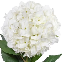 41" Hydrangea Oversized Stem by Ashland