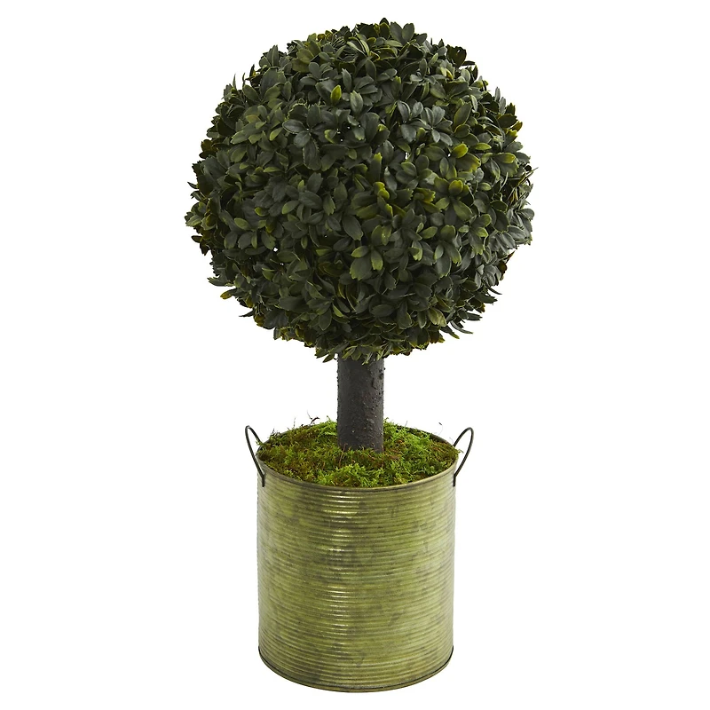 1.5ft. Boxwood Ball Topiary Tree in Green Tin
