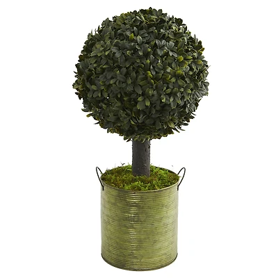 1.5ft. Boxwood Ball Topiary Tree in Green Tin