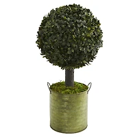 1.5ft. Boxwood Ball Topiary Tree in Green Tin