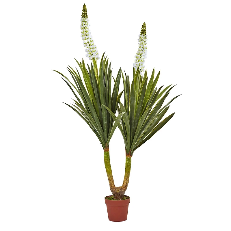 4.7ft. Potted Flowering Yucca Plant
