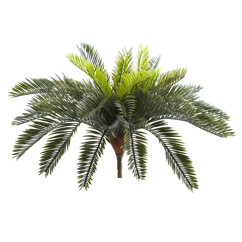 Green Cycas Pick, 2ct.