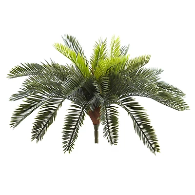 Green Cycas Pick, 2ct.