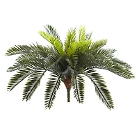 Green Cycas Pick, 2ct.