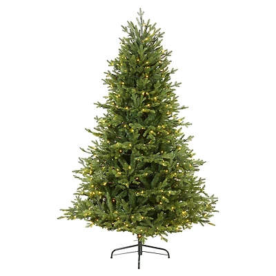 6ft. Pre-Lit Wyoming Spruce Artificial Christmas Tree with Clear LED Lights