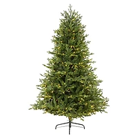6ft. Pre-Lit Wyoming Spruce Artificial Christmas Tree with Clear LED Lights