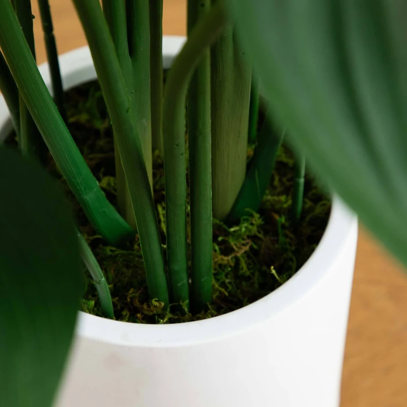 3.5ft. Sky Bird Tree in White Decorative Planter