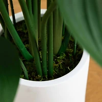 3.5ft. Sky Bird Tree in White Decorative Planter