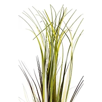2.8ft. Long Grass Plant in Twisted Rope Pot