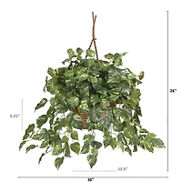 2ft. Pothos In Hanging Basket