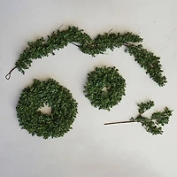 Hello Honey® 6ft. Faux Boxwood Garland