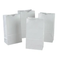 Rainbow® White Kraft Bags, 2 Packs of 50