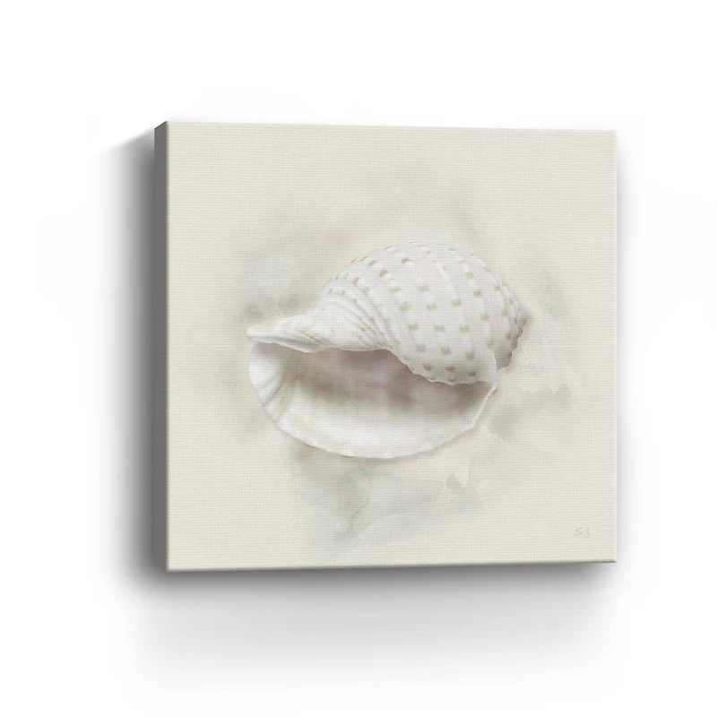 Soft Sand and Shell IV Canvas Giclee