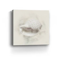 Soft Sand and Shell IV Canvas Giclee