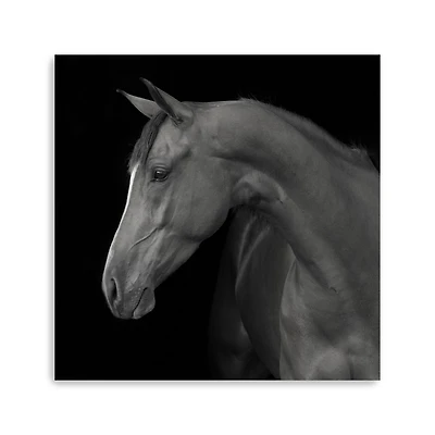 Lumaprints Jack Giclée Canvas