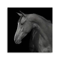 Lumaprints Jack Giclée Canvas