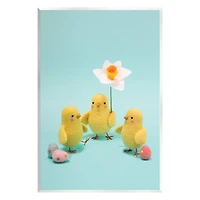 Stupell Industries Spring Chicks Floral Easter Eggs Wall Plaque Art