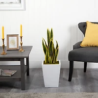 2.5ft. Snake Plant in White Metal Planter