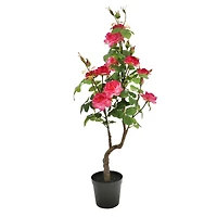 3ft. Potted Pink Rose Tree by Ashland®