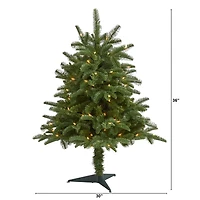 3ft. Pre-Lit South Carolina Spruce Artificial Christmas Tree, White Warm Lights