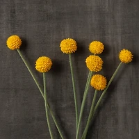 16 Pack: Yellow Billy Ball Stem by Ashland®