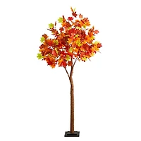 6ft. Pre-Lit Shades of Autumn Maple Artificial Fall Tree with 360 Warm White LED Lights