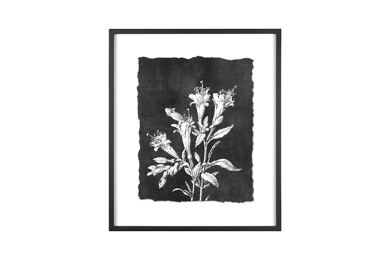 Hello Honey® Black and White Botanical Print Wall Décor with Glass and Wood Frame Set