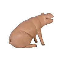 Design Toscano 23.5" Sitting in Hog Heaven Pig Statue