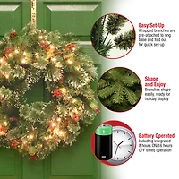 24" Wintry Pine® Wreath with Pine Cones, Red Berries, Snowflakes & Warm White LED Lights