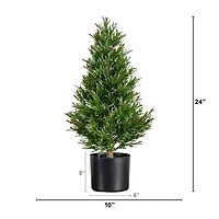 2ft. Potted UV Resistant Rosemary Cone Topiary Tree
