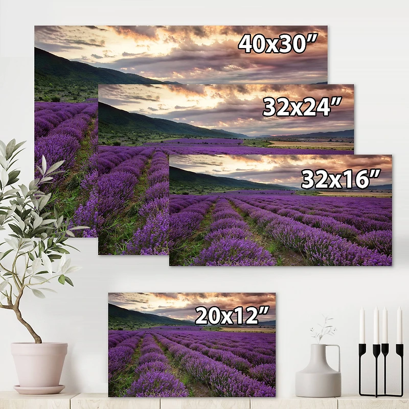 Designart - Lavender Field At Dawn I