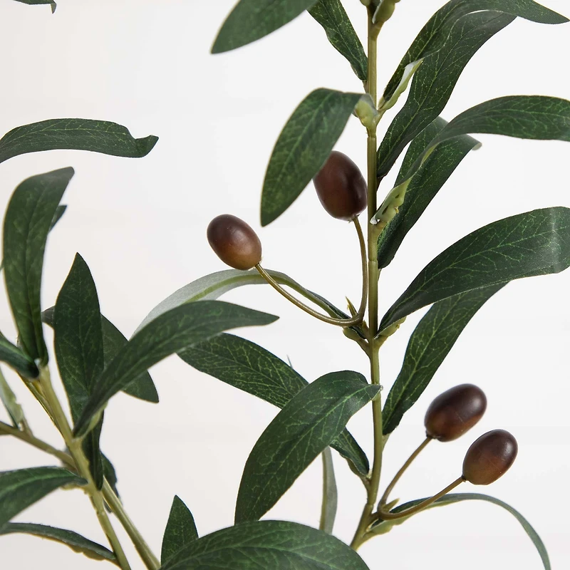 28" Olive Branch Stems, 3ct.