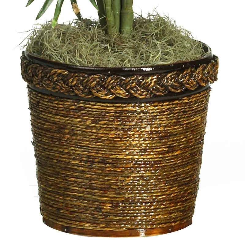 4.6ft. Areca Palm Tree with Basket