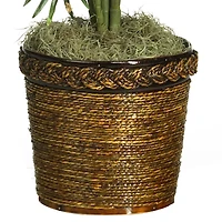 4.6ft. Areca Palm Tree with Basket