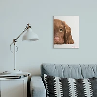 Stupell Industries Chocolate Labrador Puppy Resting Adorable Dog Portrait Canvas Wall Art
