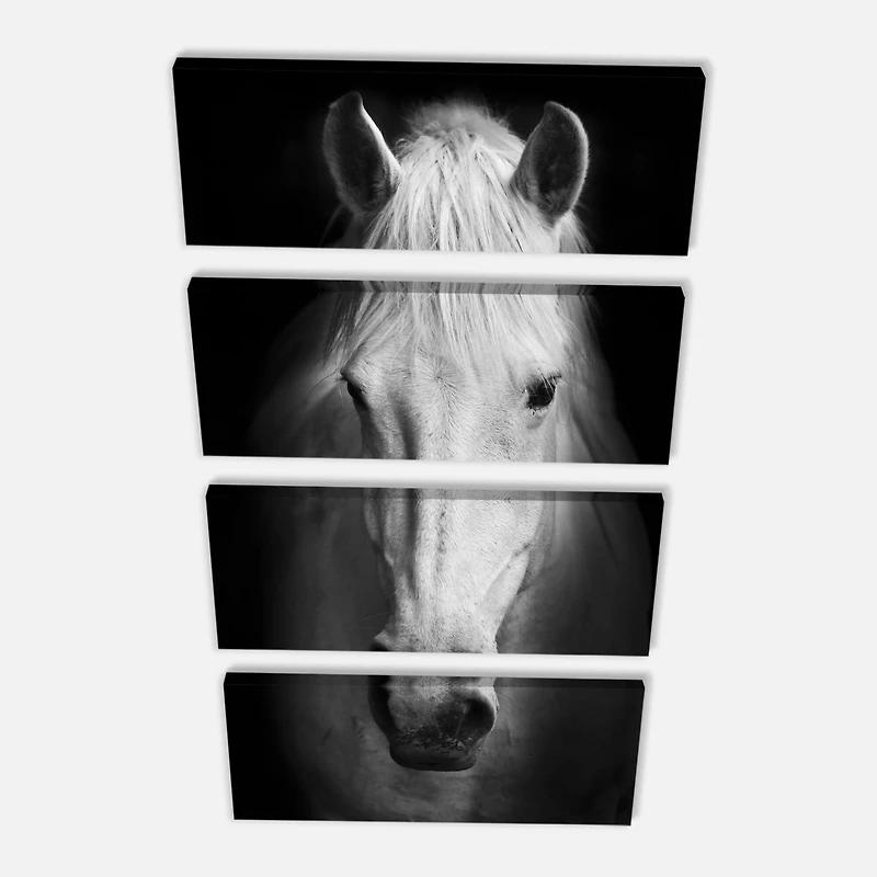 Designart - White Horse Black and White
