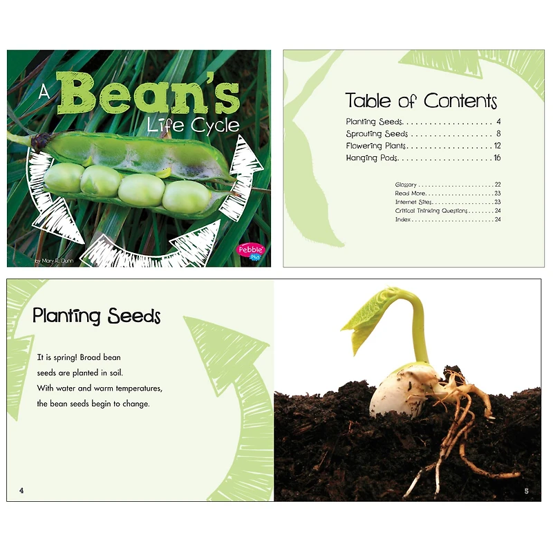 Pebble Plus Explore Life Cycles Set